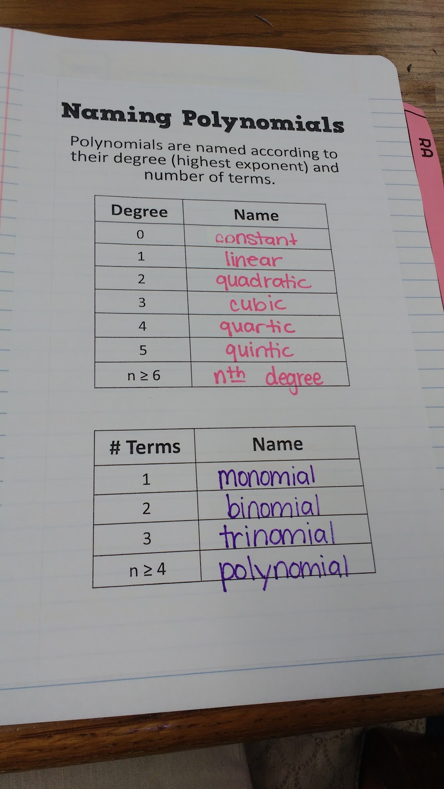 naming polynomials graphic organizer.