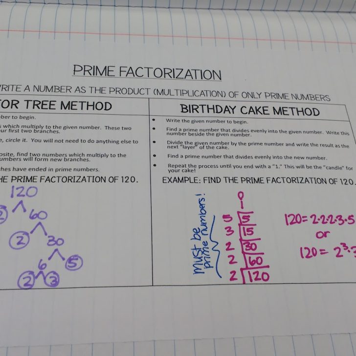 Prime Factorization Graphic Organizer in Interactive Notebook.