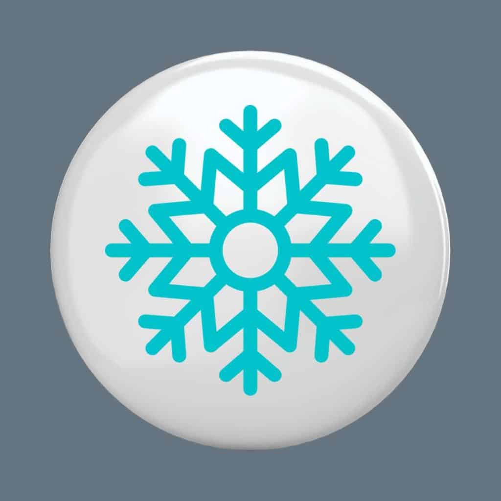 snowflake magnet.